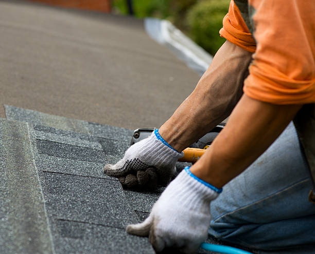 Best Roof Leak Repair  in Albert Lea, MN