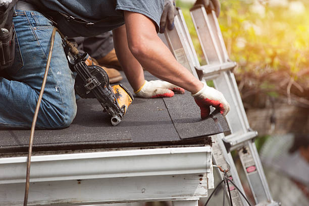 Best Metal Roofing Contractor  in Albert Lea, MN
